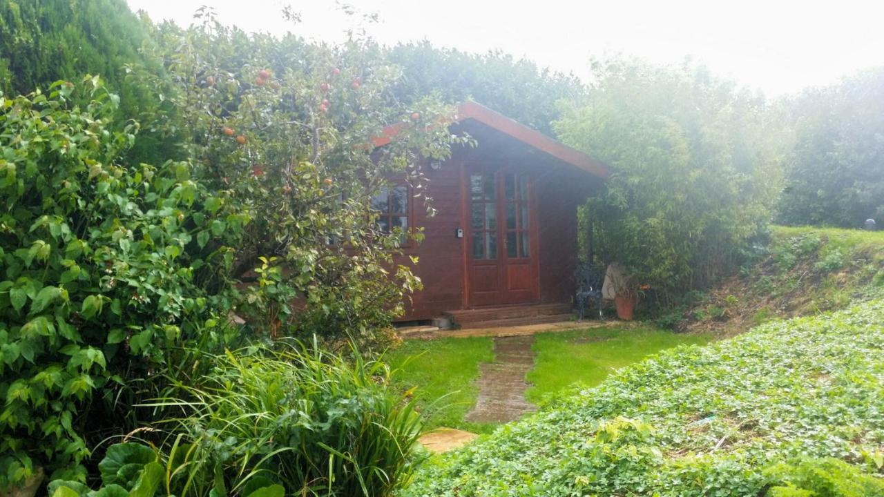 Bridge Farm Dundry